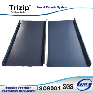 Double Lock Standing Seam Roofing, Wall System-Villa, Resort, Hotel, Apartment, Park