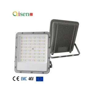 Mini AC LED Floodlight