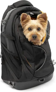 Airline Approved Carrier