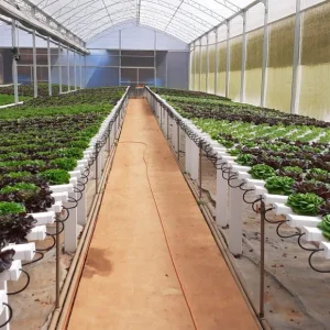 Nft Hydroponic Channel Greenhouse Vertical Farming System Zipgrow with Lights Vertical-Farming-Systems