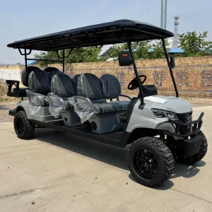 CE New 2 Seater Golf Cart Electric Mini