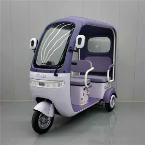 China Electric Tricycle DS-13