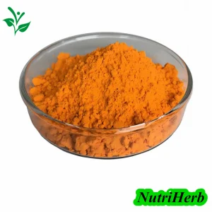 Suplemento de Saúde Antioxidante de Alta Qualidade Pó de Extrato de Raiz de Cúrcuma 20% 95% 98% Curcumina CAS 458-37-7 Extrato de Pó de Planta Herbal