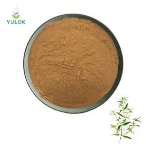 Hedyotis Extract Powder