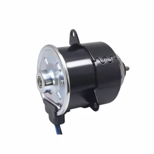 75MM Frame 80W Brush DC Motor