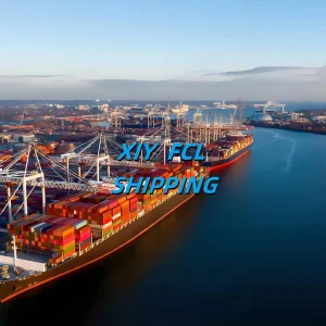 Professional Freight Forwarding Company in The Qingdao to South America USA