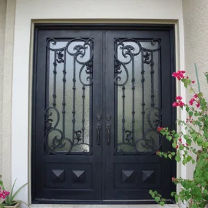 Storm Door