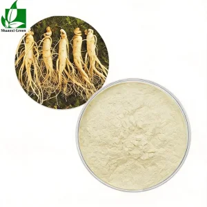 Fornecimento de Fábrica Extrato Natural de Caule e Folha de Panax Ginseng 15% Ginsenosídeos