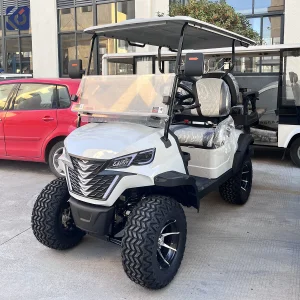 Hot Sale Fuel Type 300cc Gas Golf Cart 4 Seater Gasoline Hunting Club Golf Cars Utility Custom Golf Buggy for Canada