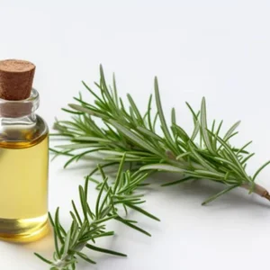 Rosemary Essential Oil