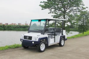 5 Seats Street Legal Cart