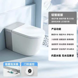 North American Design Styles Elongated Floor Standing Include Coverseats Smart Ceramic Toilets