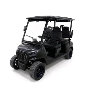 Multifunctional Professional 4 Seats Golf Cart for Resort Support Customization Logo