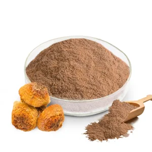 Organic Agaricus Blazei Extract Powder Pure Form