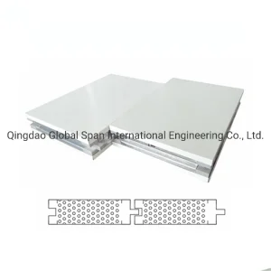 Cold Room Ceiling Panel Steel Structure Building with Polyurethane Facade Sendwich Sound Insulation Clean PU Wall Aluminum Composite Metal Exterior GRP Panels