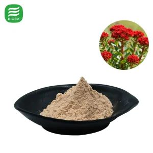 Extrato de Rhodiola Rosea Solúvel em Água