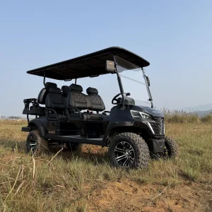 Best Seller Four-wheel Drive New Energy Lithium Battery Safety Features Electric Golf Cart Compact Vehicle on Sale