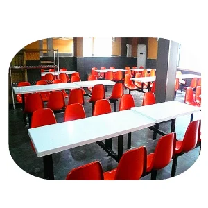OEM ODM Custom GFRP Furniture Canteen School Dining Table and Chair