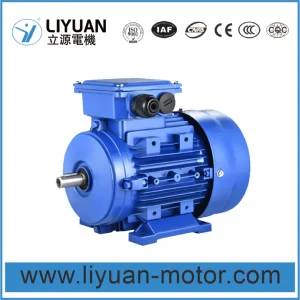 MS Series Motor