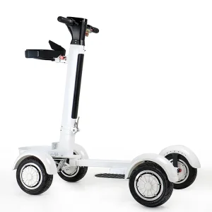Ecorider Golf Cart