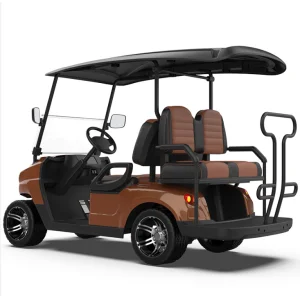 6 Seater Utility Buggy