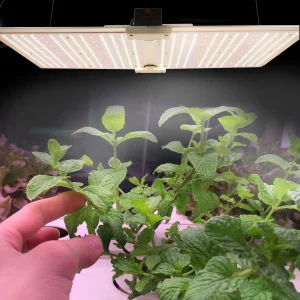 Wholesale Indoor High Power Lamp 300W 600W 640W Full Spectrum Samsung Energy Saving Lamp LED Plant Grow Light