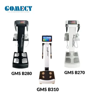 Gomecy Body 310