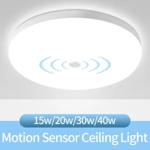 Ceiling Sensor Lamp