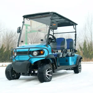 Cheap Chinese Electric Utility Golf Cart
