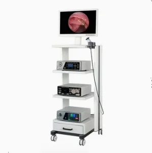 Professional Video Cart