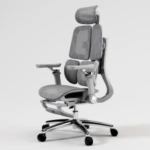 Modern Ergonomic Mesh Chair