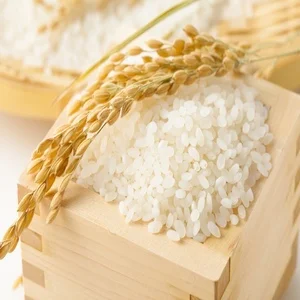 Japanese white rice japonica rice