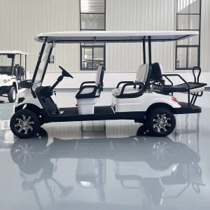 2025 Newest Model Smart Golf Cart with GPS Display Screen &amp; Remote Control