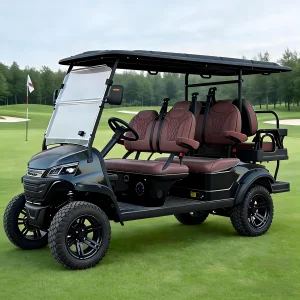 Eco-Friendly Customized Electric Golf Cart | 6-Seater Golf Buggy for Resort &amp; Golf Course