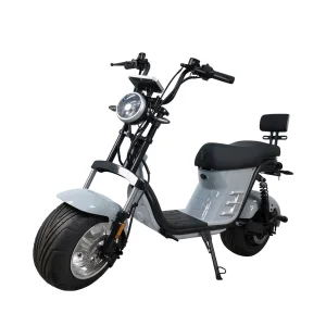 Citycoco Scooter