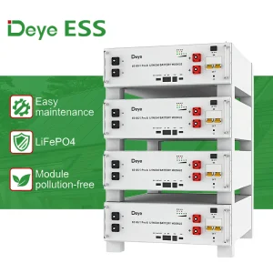 Rack Deye 5.12kwh
