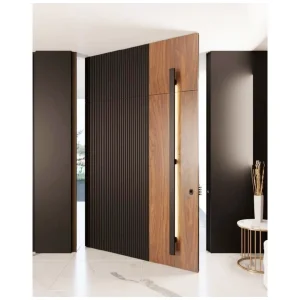 Luxury Matte Black Aluminum Door