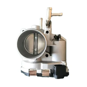 Hyundai i20 Throttle Body Assembly