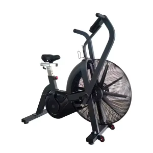 Commercial Air Bike