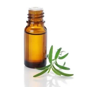 Eucalyptus Oil