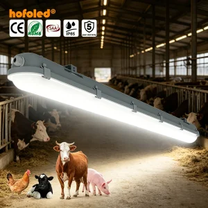 Ammonia Proof Poultry Farm Light