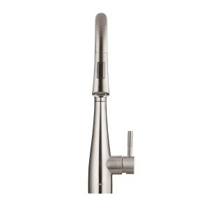 Spring Pull Down Brushed Nickel 304 Stainless Steel Sink Set Single Handle Goose Neck Kitchen Tap Kitchen Faucet