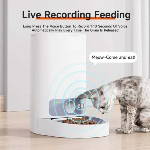 Smart Pet Food Dispenser Scheduled Feeding