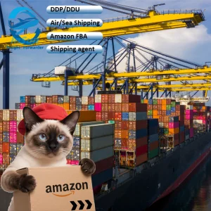 Amazon FBA Logistics