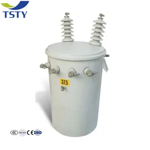 TSTY Best New Product of Single Phase Pole Mounted Transformer Manufacture Direct Sale