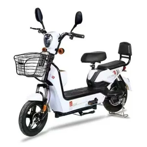 China Best Two-wheeled Electric Bike Model: Gold Egle