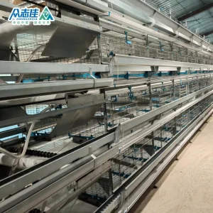Hot Galvanized H Type Broiler Layer Battery Cage with Environmental Control System Poultry Farming Machine Cage-Coop-for-Poultry-Livestock