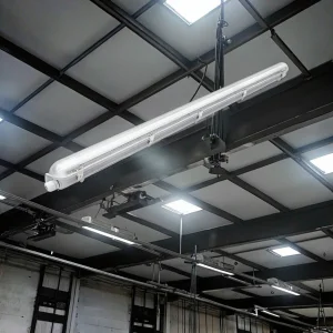 CCT Adjustable Corrosion Resistant Light