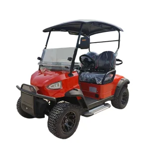 Customizable Color Options Luxury Lithium-Powered Go Kart Electric Golf Cart