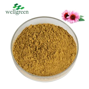 Echinacea Purpurea Extract